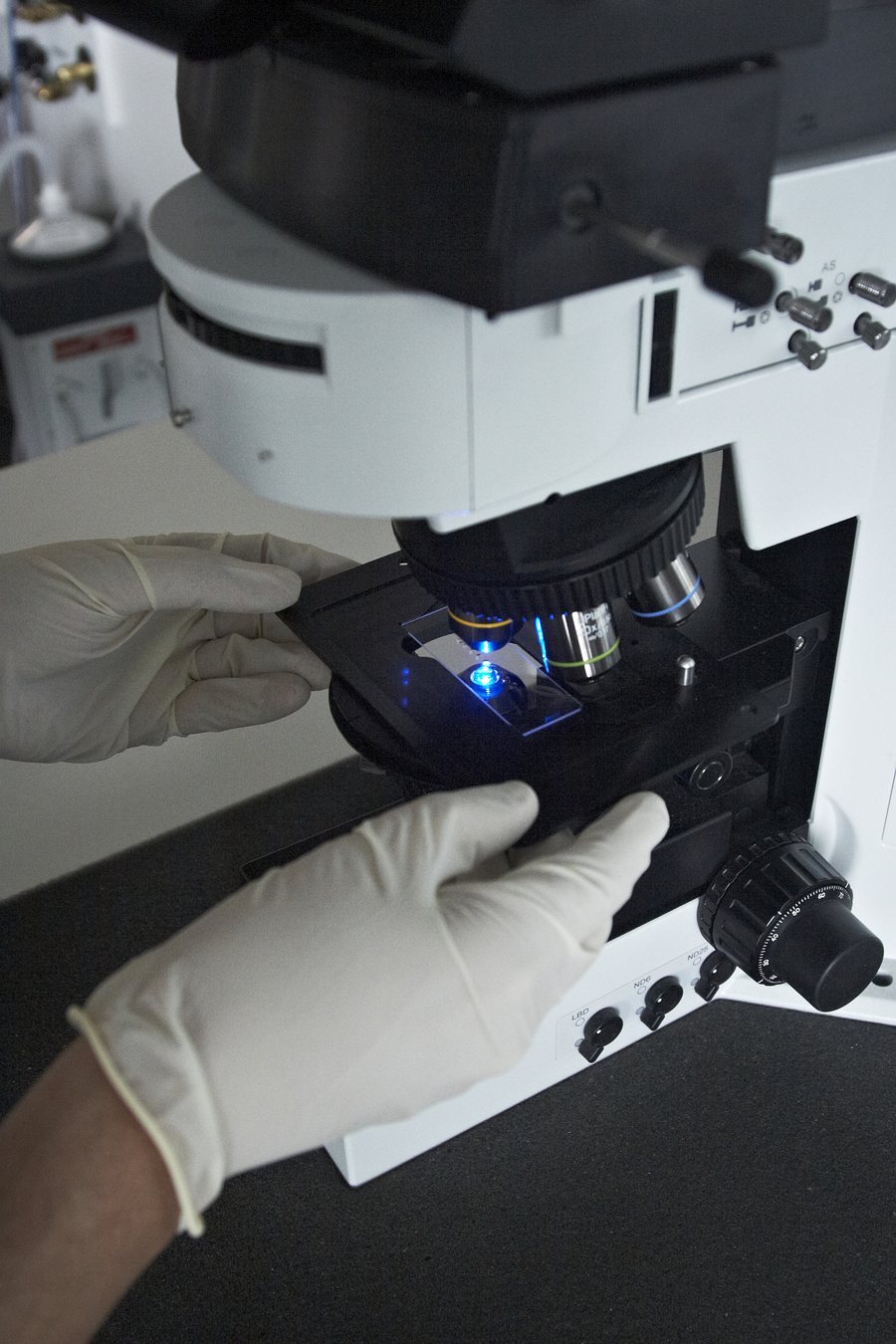 Ricercatore posiziona un vetrino sotto un microscopio da laboratorio